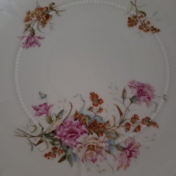 Antique Porcelain Carl Tielsch 10" Plate Green Eagle Mark C.T. Altwasser Germany - Picture 3 of 5